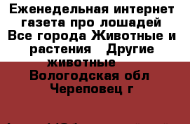 Еженедельная интернет - газета про лошадей - Все города Животные и растения » Другие животные   . Вологодская обл.,Череповец г.